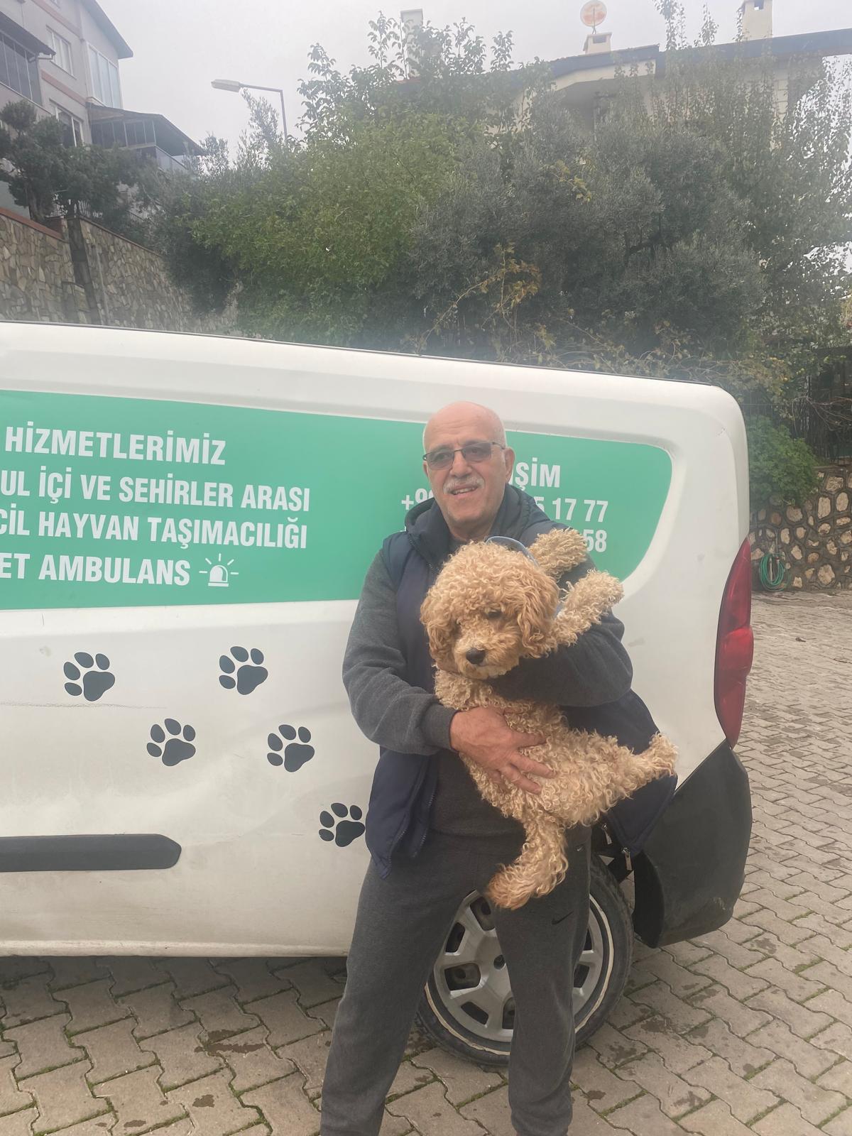 İstanbul şehir içi transfer çözümleriyle evcil dostlar güvende
