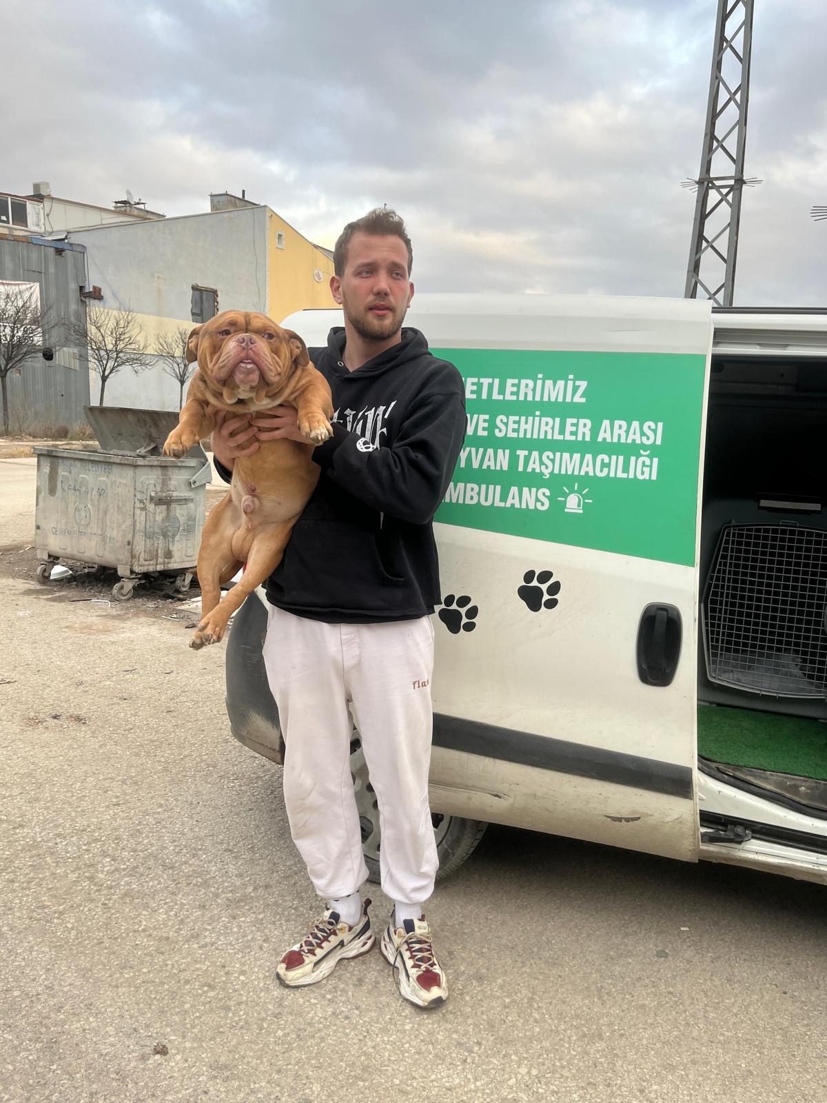 İstanbul Pet Transfer ile güvenli ve konforlu köpek taşıma
