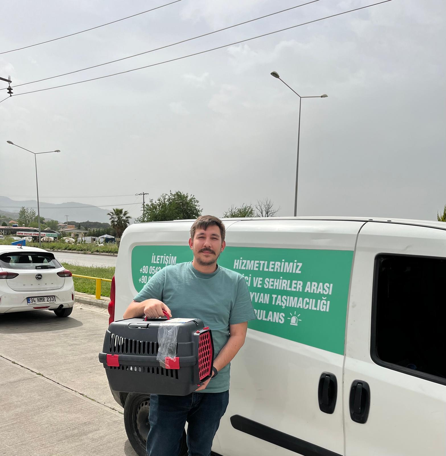 İstanbul Avcılar Pet Transfer ekibiyle profesyonel taşımacılık
