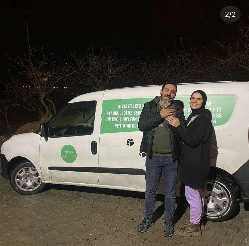 İstanbul Avcılar Pet Transfer ile evcil hayvanlarınız emin ellerde
