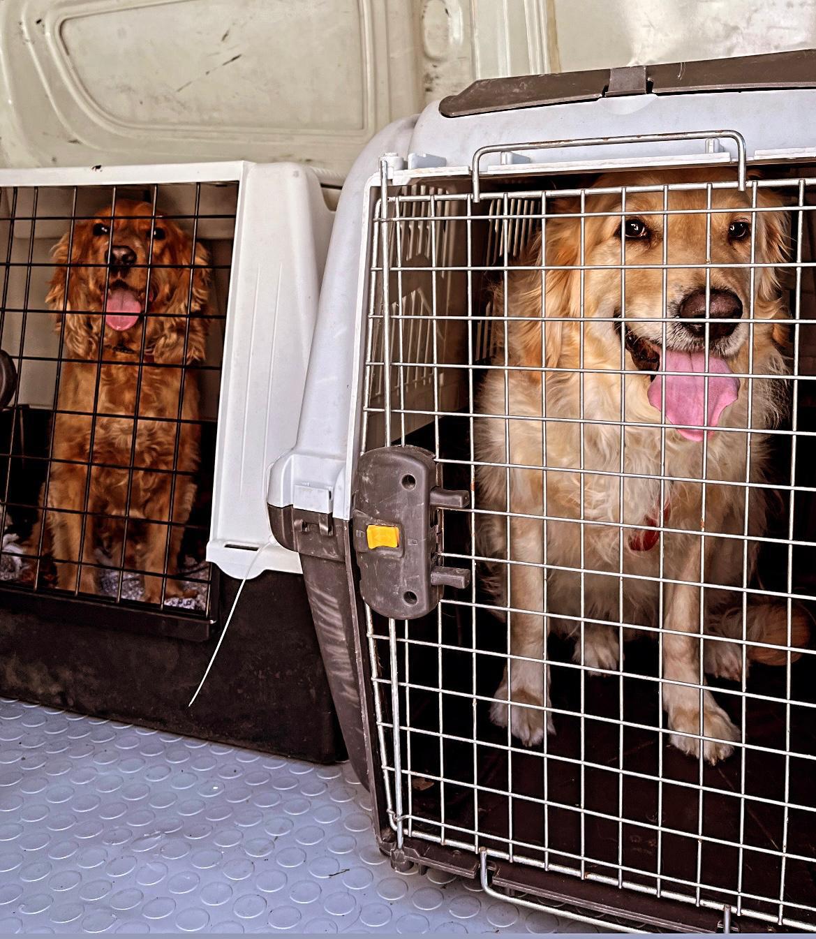 İstanbul şehir içi transfer ekipleriyle hızlı ve güvenilir taşıma
