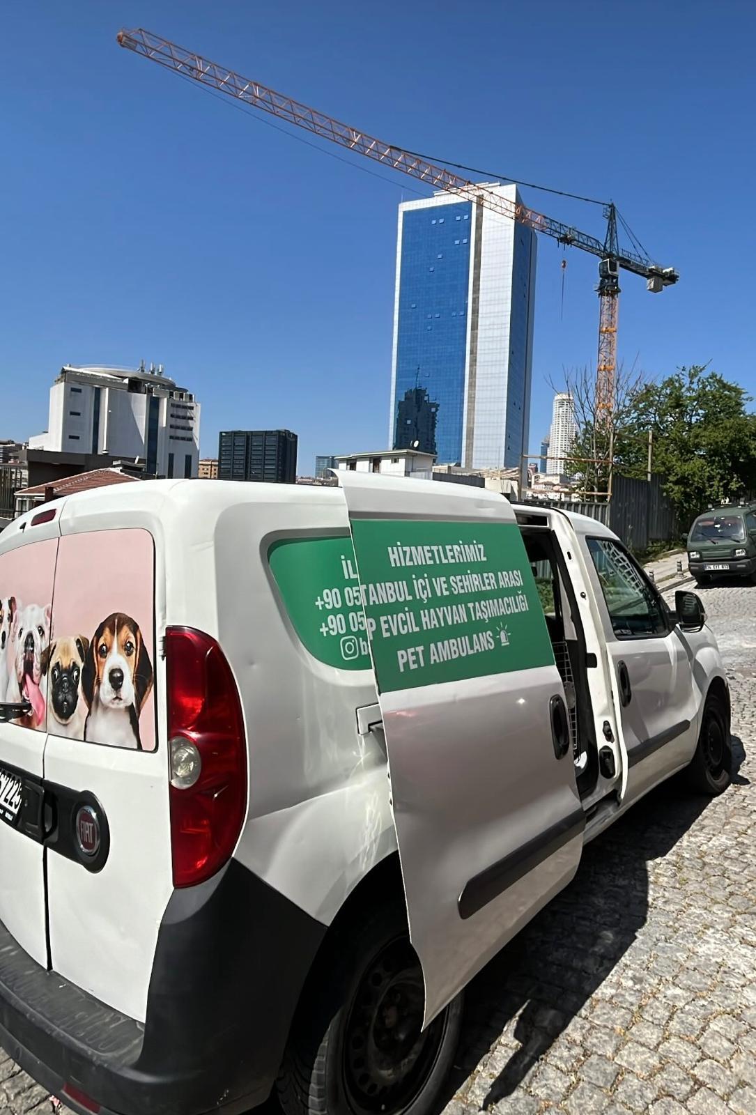 Uluslararası Pet Transfer hizmetlerinde profesyonel destek
