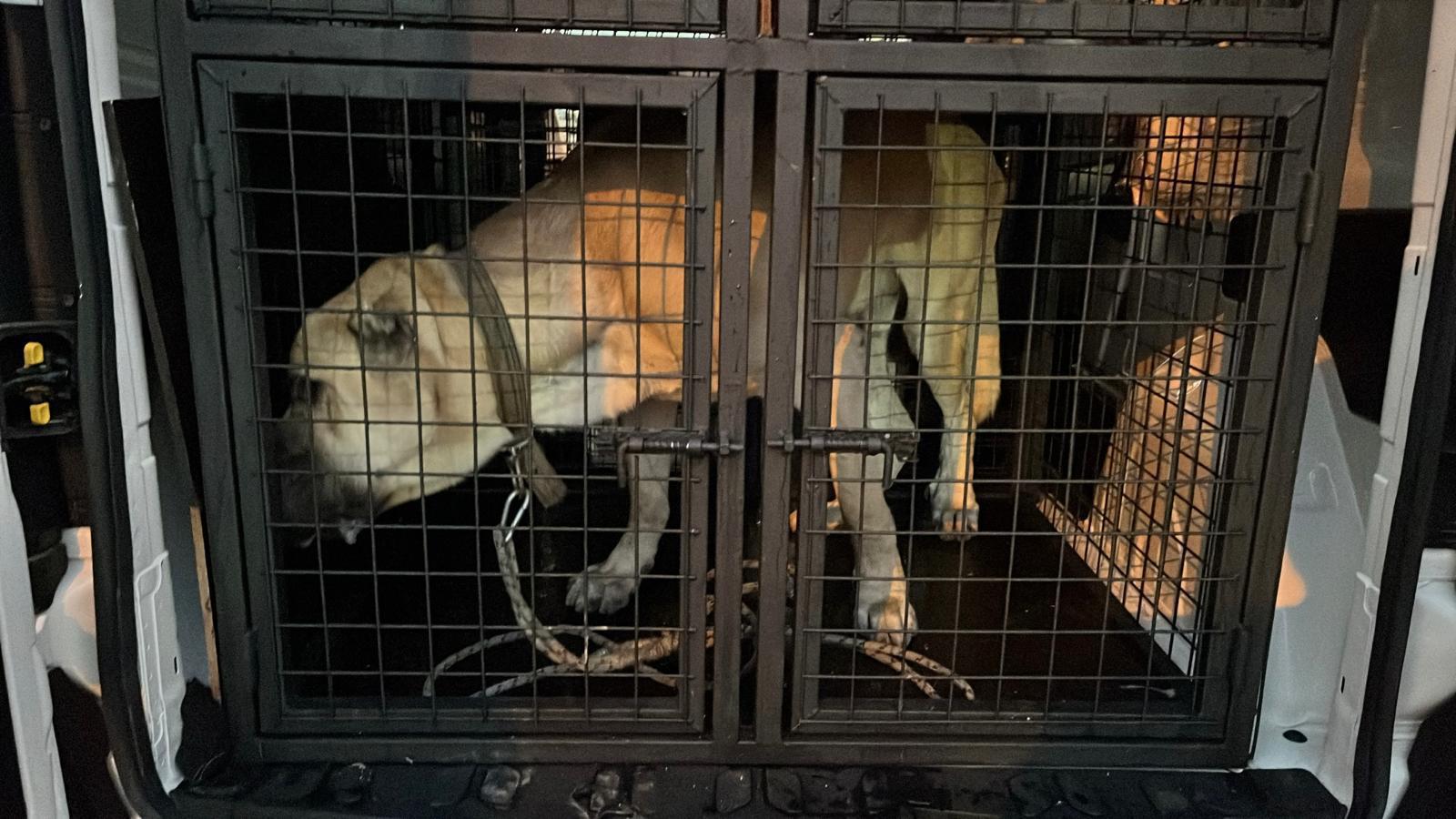 İstanbul şehir içi transfer çözümlerinde uzman taşıma ekibi
