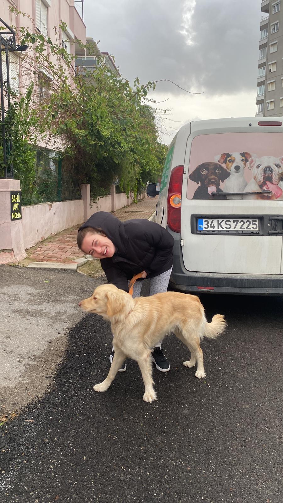 İstanbul Pet Transfer ile şehir içi ve şehirler arası taşıma
