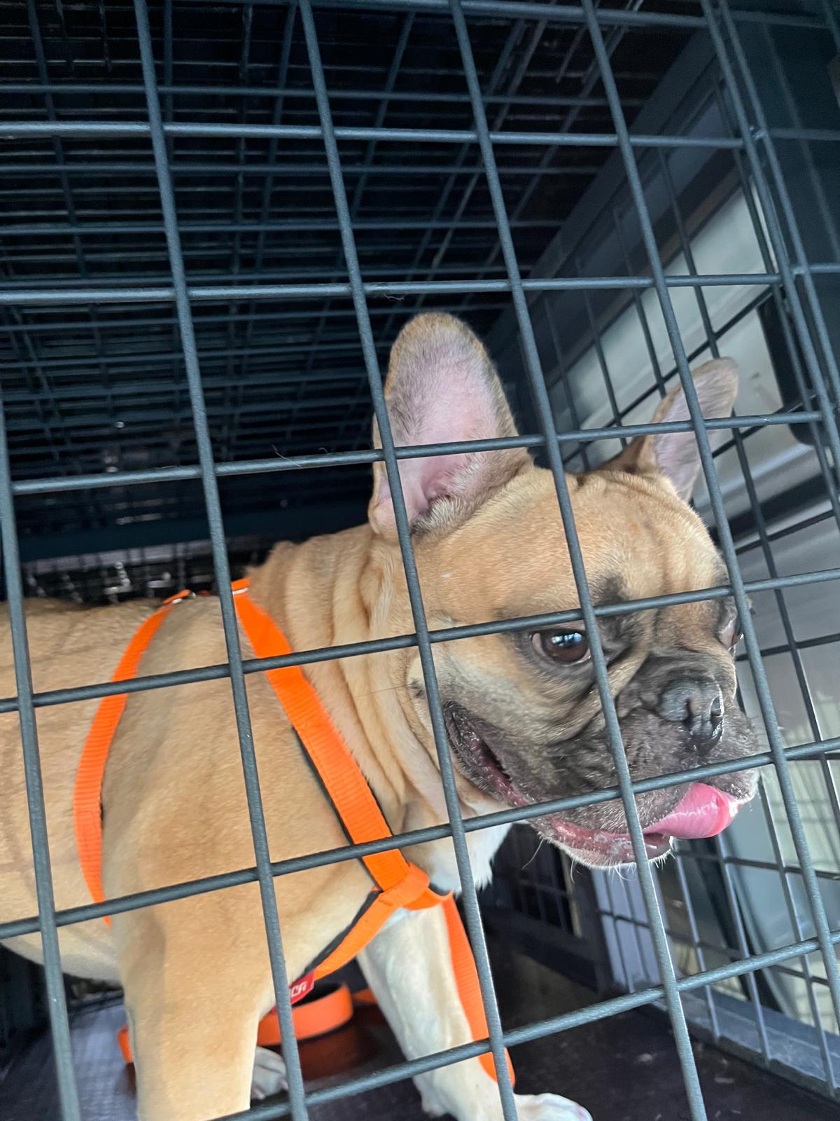 İstanbul şehir içi transfer hizmetlerinde uzman taşımacılık desteği
