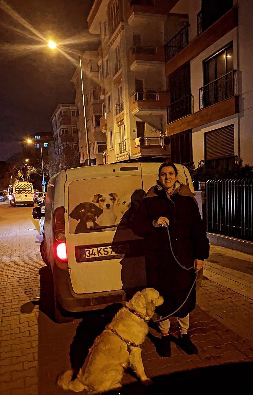 Uluslararası Pet Transfer hizmetleriyle dünya genelinde taşıma kolaylığı
